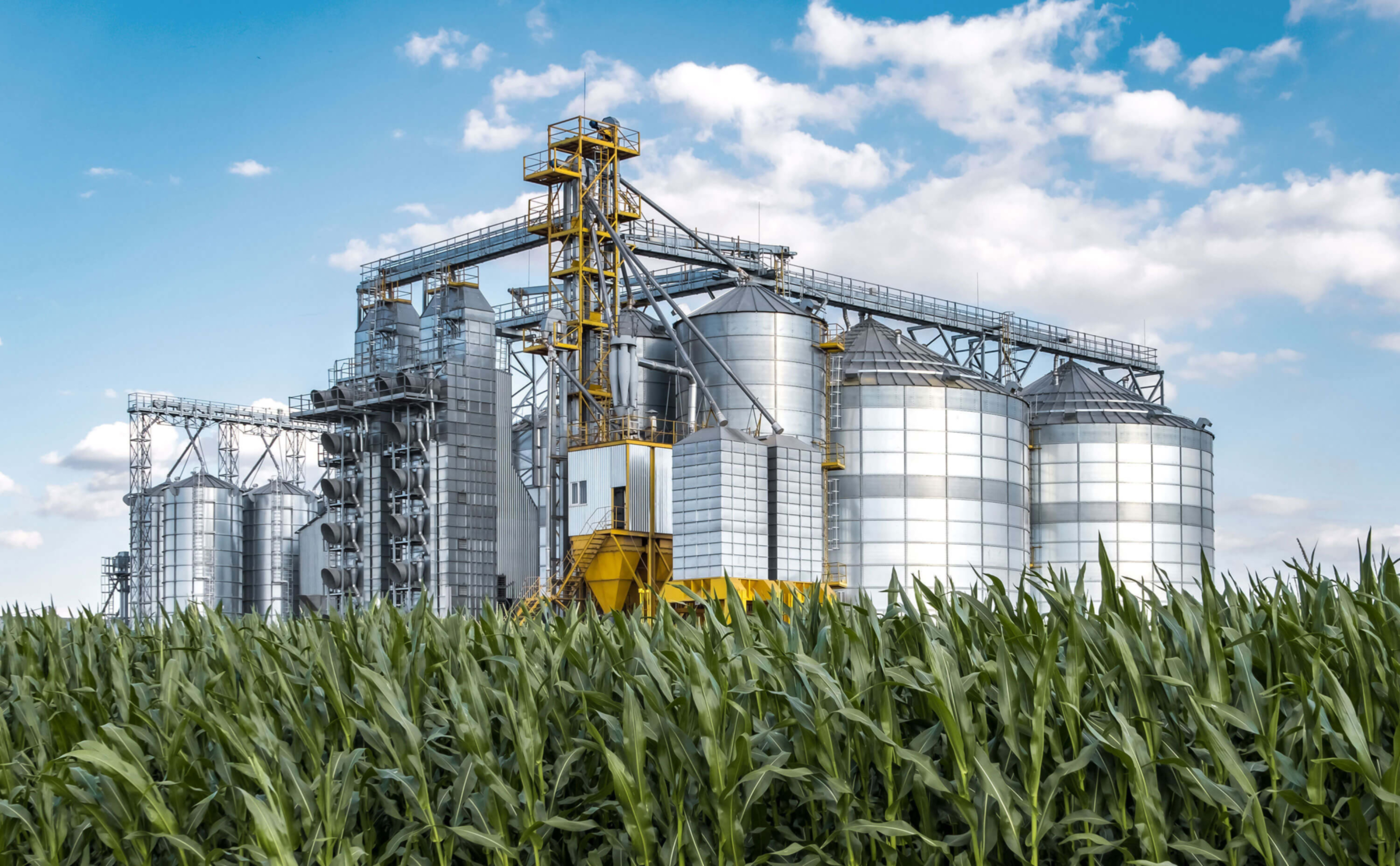 Silos on a farm 2