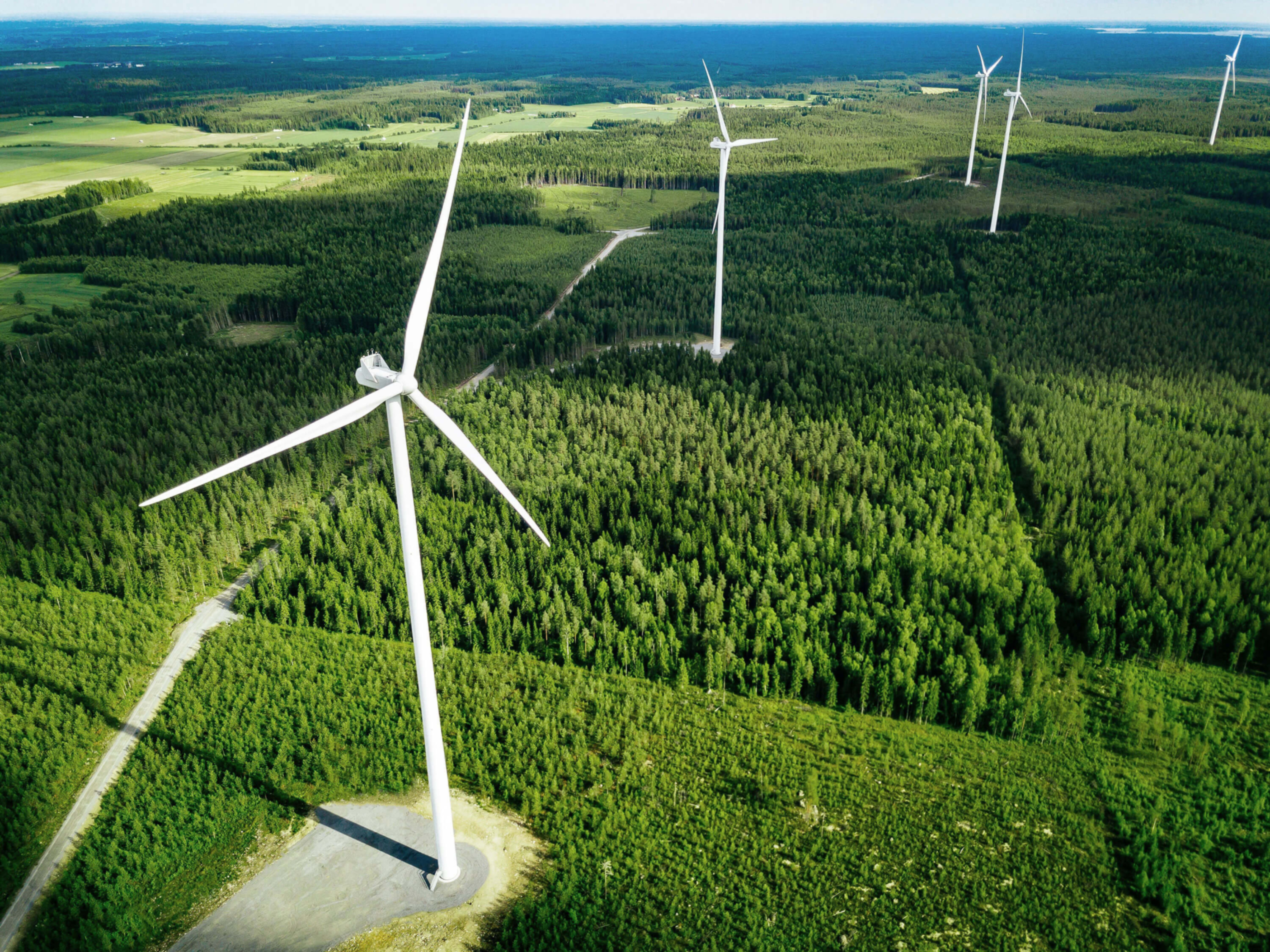 Renewables - Wind turbines in forest