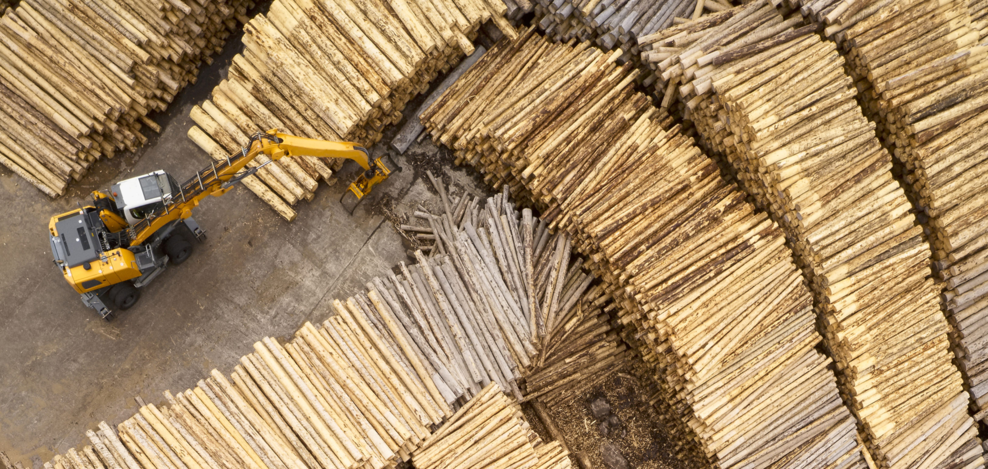 Pulp and paper - Truck sorting wood logs