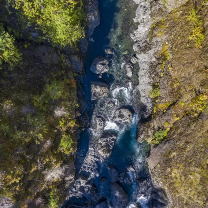 Environnement - Rivière et forêt