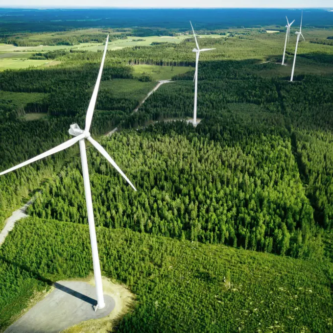 Renewables - Wind turbines in forest