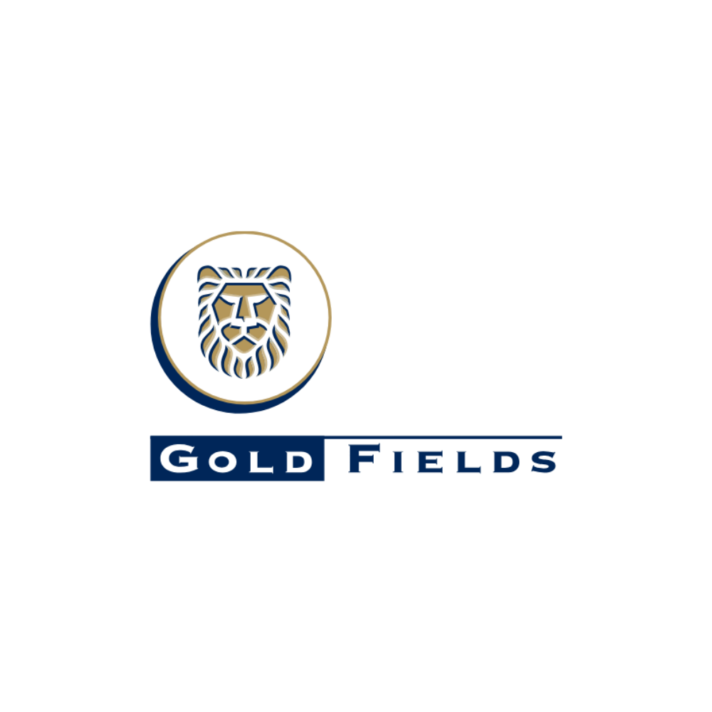 Mm logo gold fields web SQ LR gold fields bil