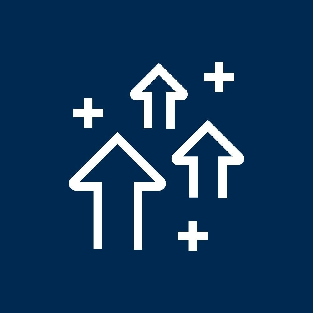 Icon LCC reinforcement navy background web SQ HR BBA