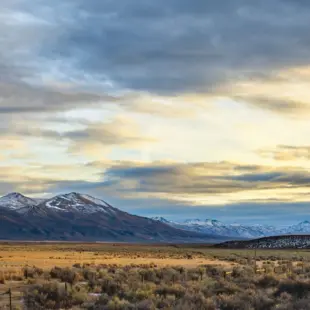 Elko
