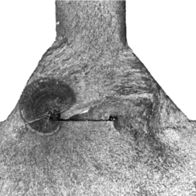 Figure 3a blog