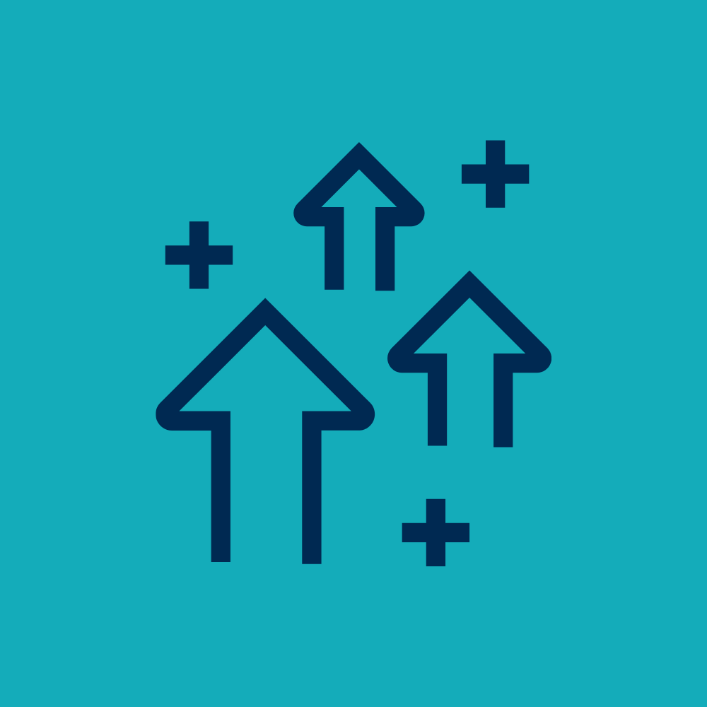 Icon LCC reinforcement aqua background web SQ HR BBA
