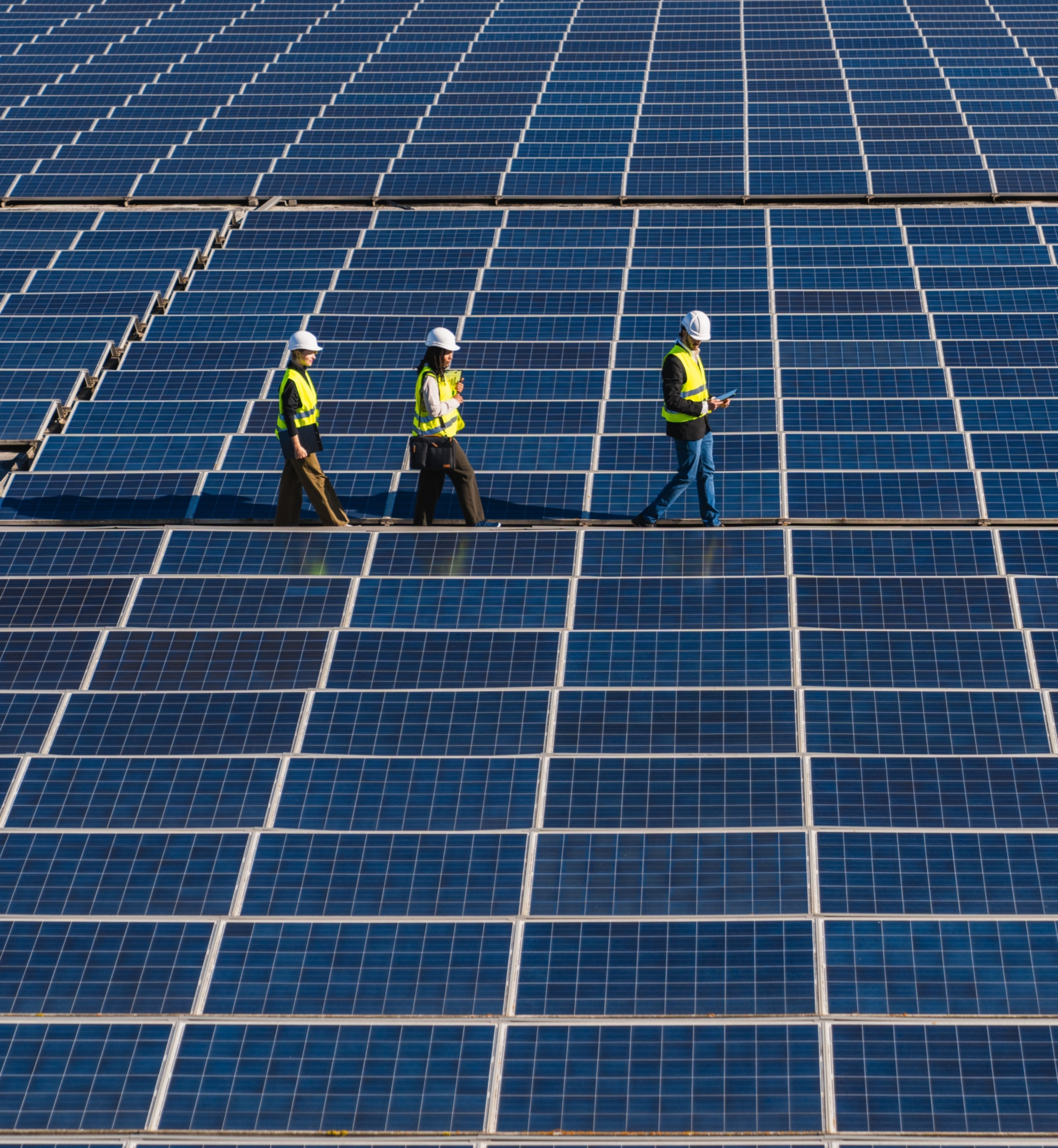 Team walking solar panels farm