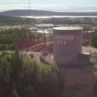 Labrador