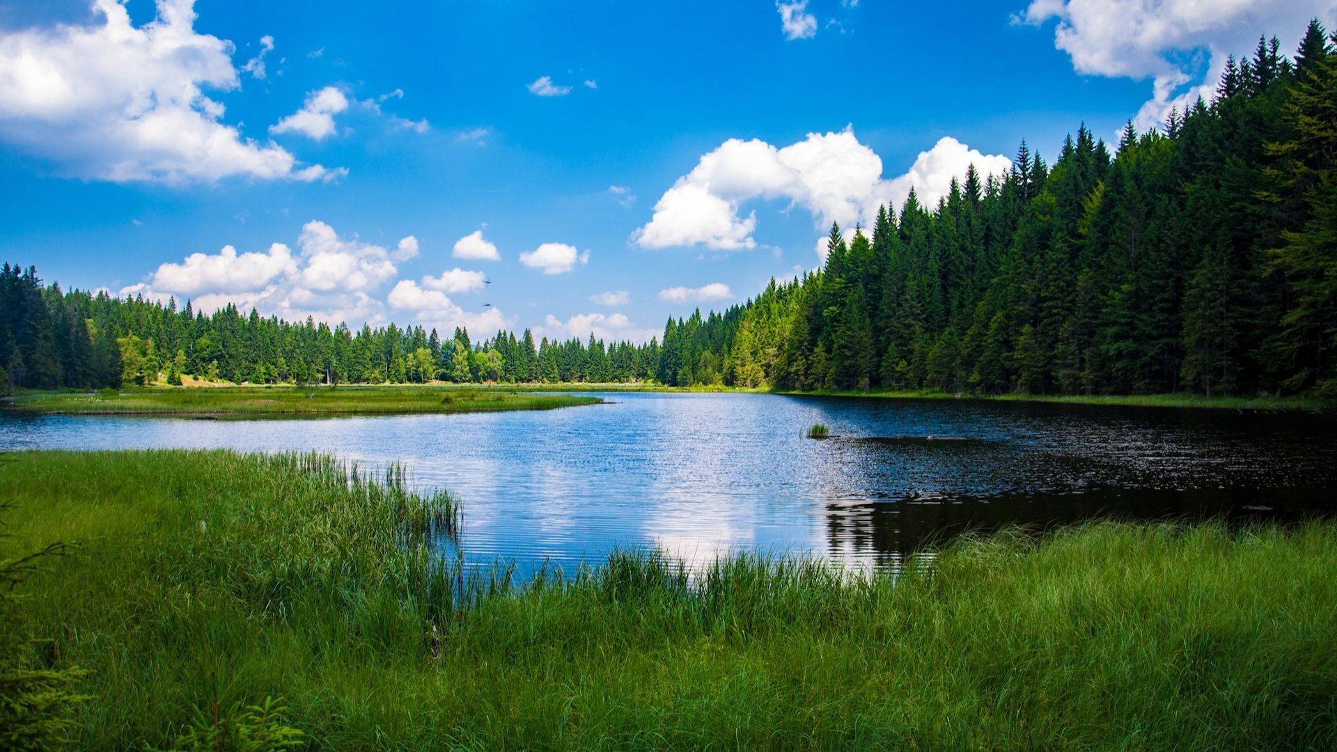 Enviro forest lake landscape reflection hz lr