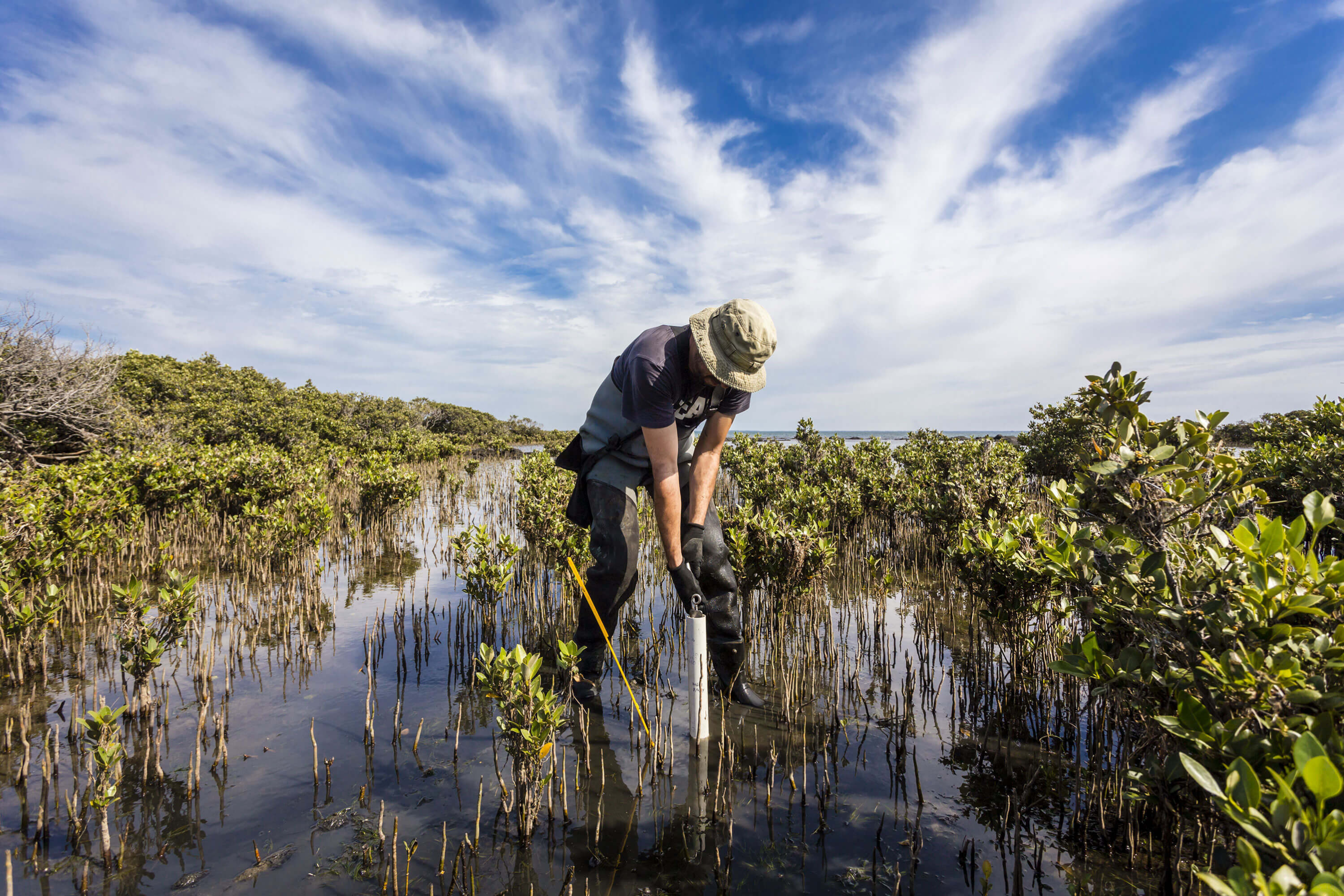 Environment Adobe Stock 437649598