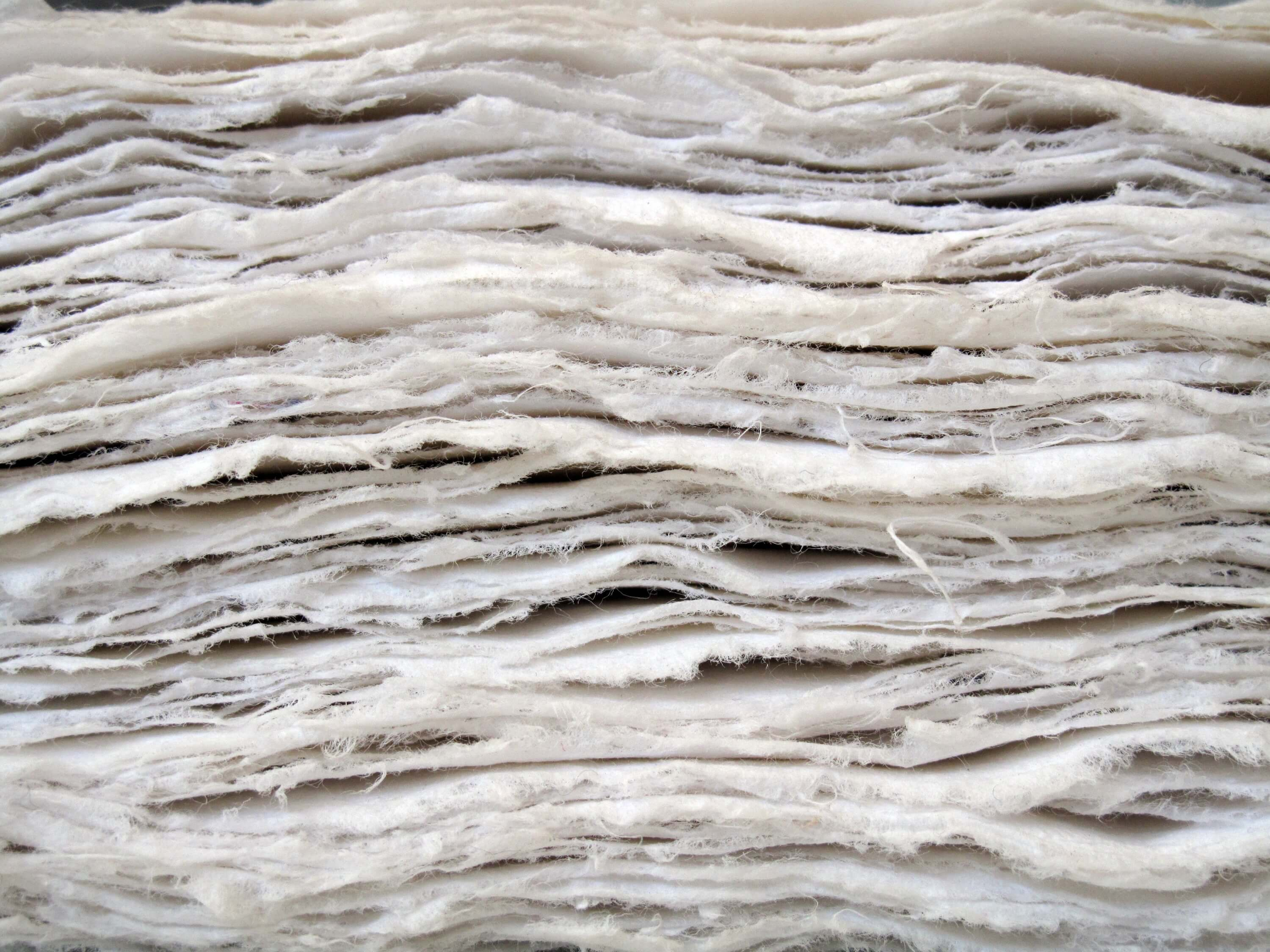 Pulp and paper layers